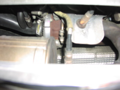 smart roadster